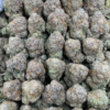 BERRYLATO