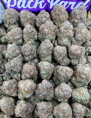 2hsyx1fv BERRYLATO