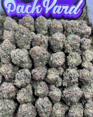 CANDY GAS CANDY GAS