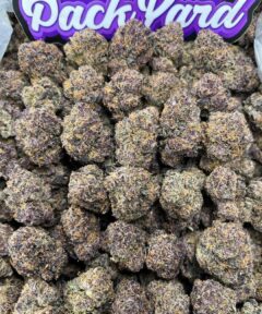SUGAR RUSH
