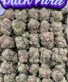 CHERRY RUNTS