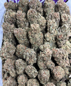 CANDY MEDIUMS