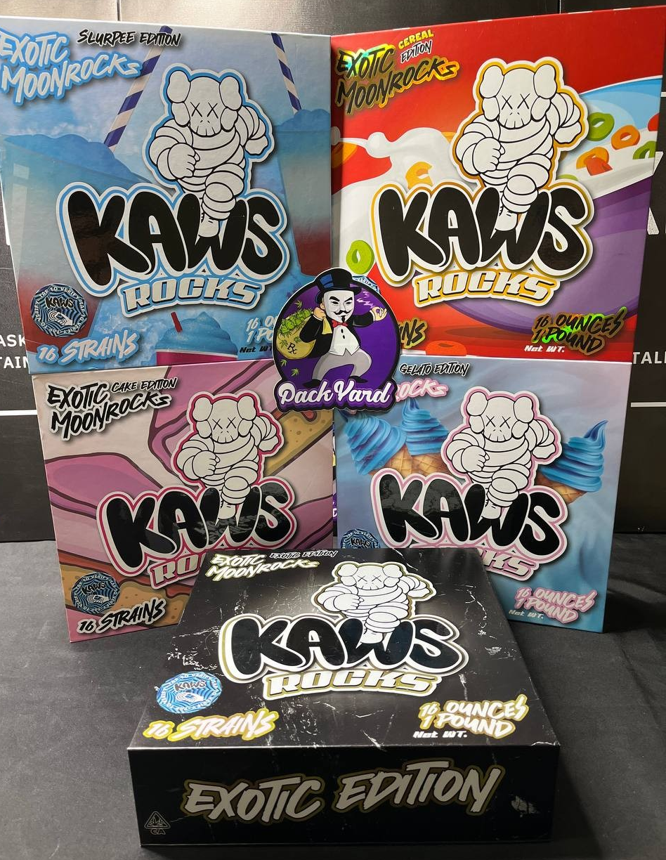 nds5djdp KAWS MOONROCKS