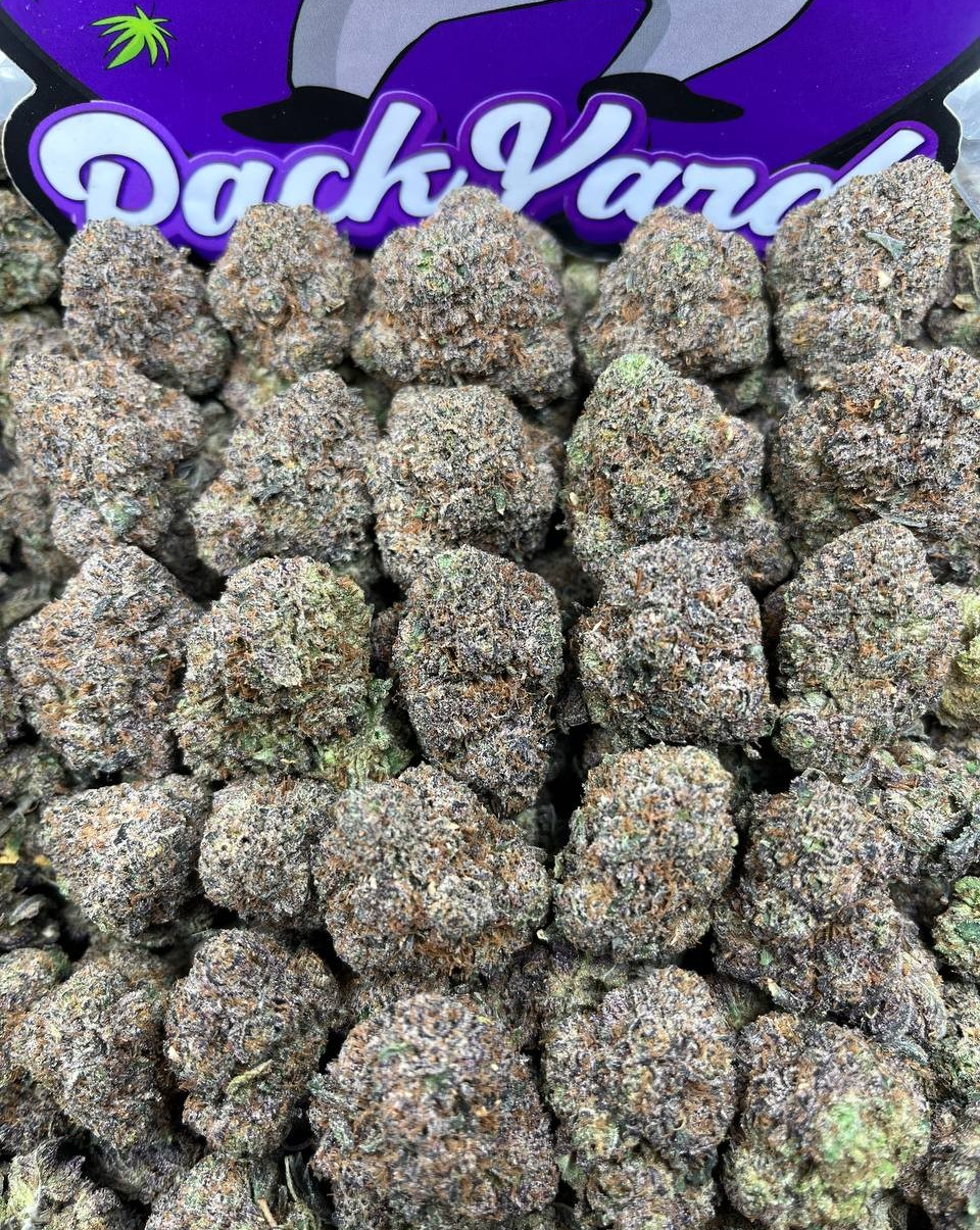 ng2slkvu GLITTER SPRINKES