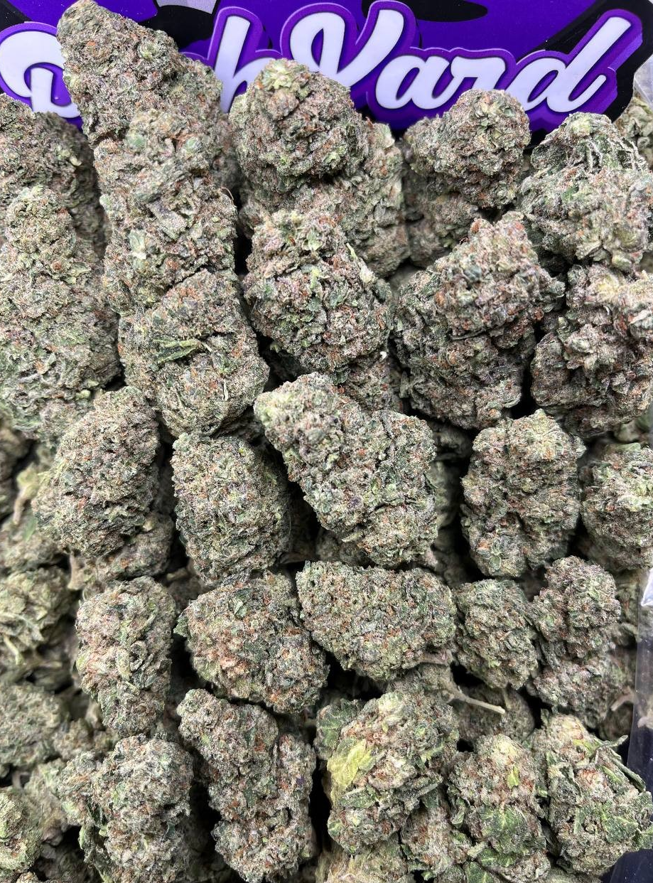 ntqj74ca SWEET TOOTH