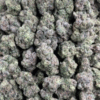 ZOOTS