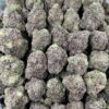 PURPLE LOLLIPOPS