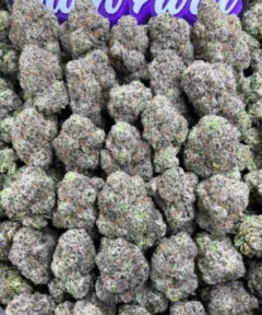 BUBBLEGUM ROCKETS