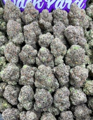 BUBBLEGUM ROCKETS BUBBLEGUM ROCKETS