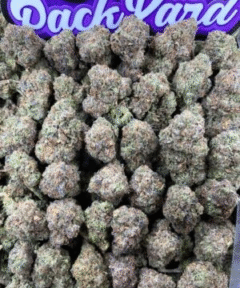 JELLY ROLL