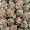 BUBBA LAND