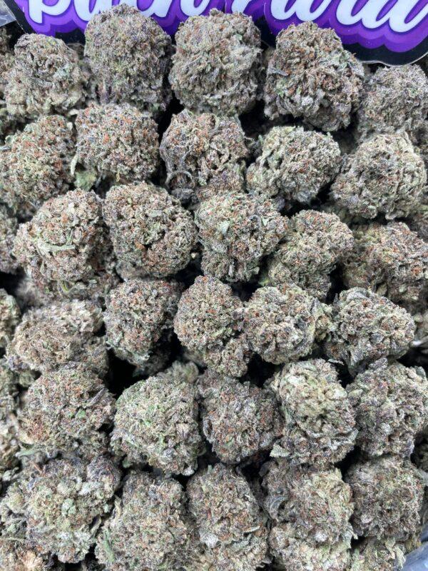 purpleastronaut-600x800 PURPLE ASTRONAUT