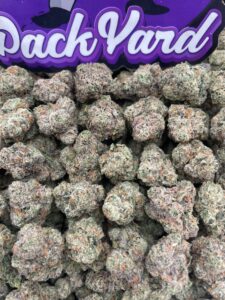 Pack It Up, It's World Cup Season: The Best Cannabis Products for Your 2026 FIFA World Cup Watch Party