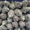 INSANE GELATO
