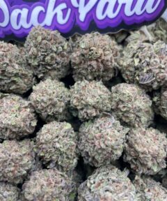 COOL RASPBERRY
