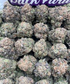 KRAZY KANDY
