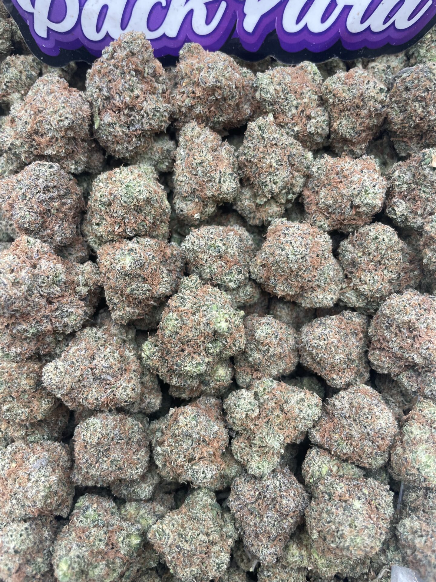 DREAM SKITTLE DREAM SKITTLE