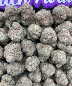 GRAPE GUMBO MEDIUM