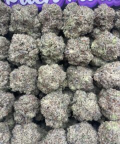 TRUFFLE GOD