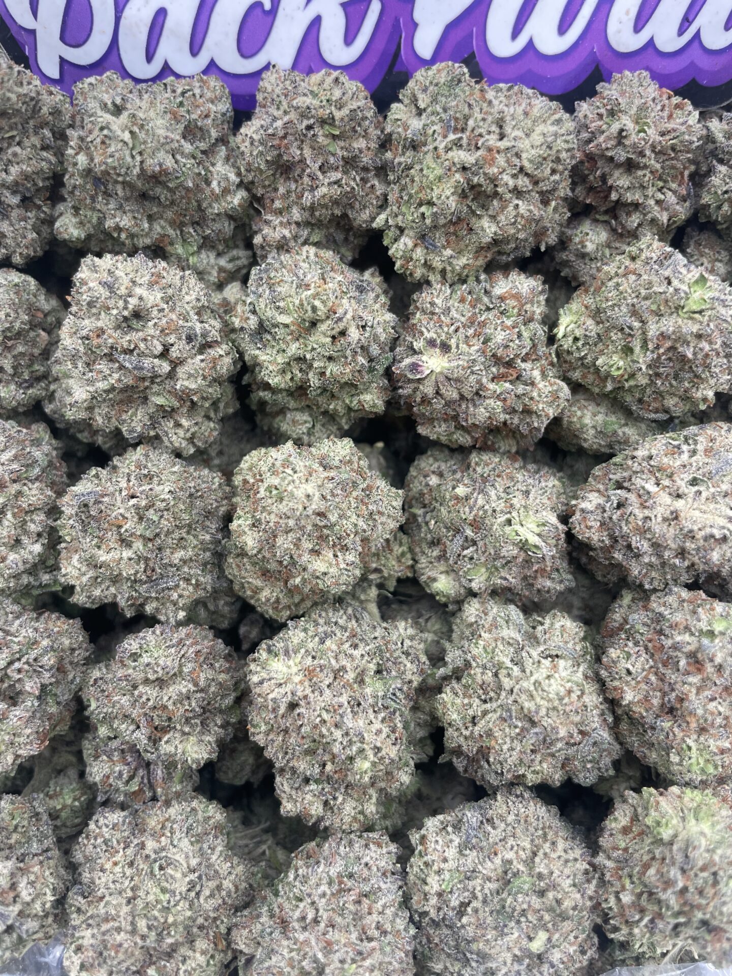 TRUFFLE GOD TRUFFLE GOD
